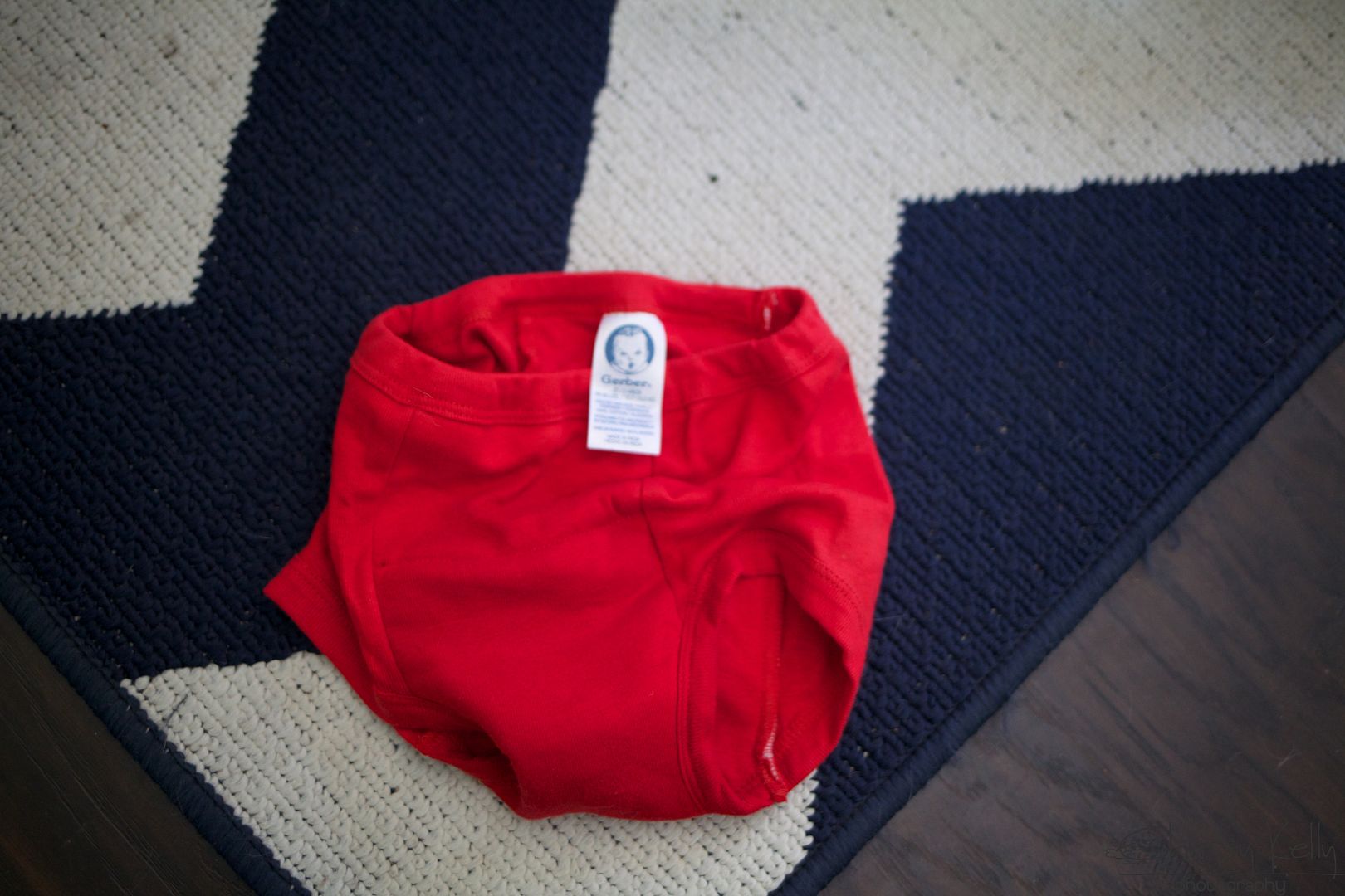 life with greyson + parker potty training boot camp